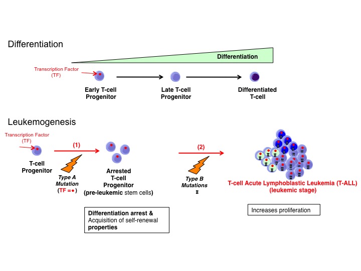 scientific_pictures/Slide5.jpg